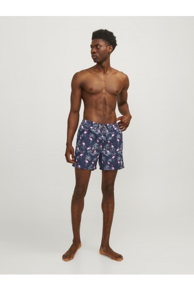 JPSTFIJI JJSWIM AOP 2