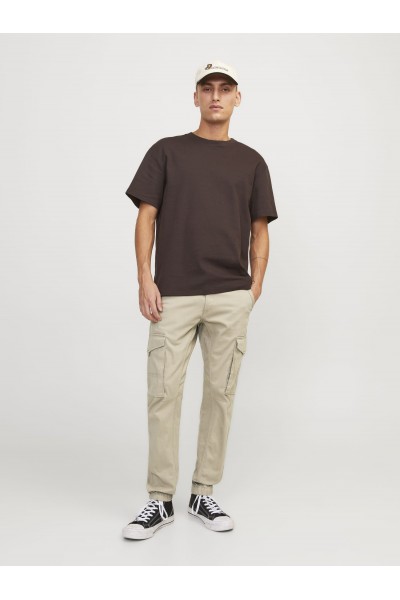 JPSTPAUL JJFLAKE CARGO PANTS 2