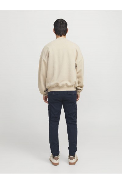 JPSTPAUL JJFLAKE CARGO PANTS 2