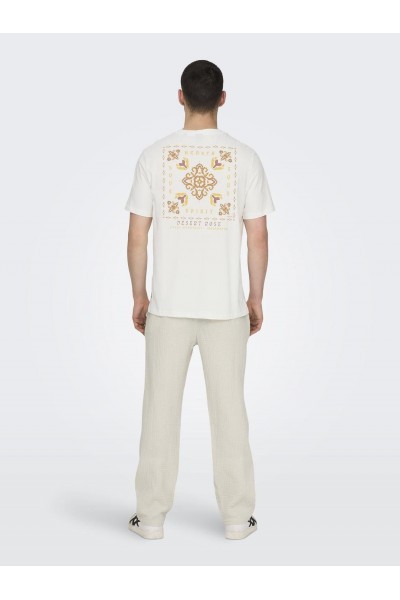 ONSMANUEL S/S DESERT TEE 2